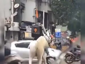 Food Delivery - हाल ही में मुंबई में मूसलाधार बारिश में एक लड़के का घोड़े पर खाना पहुंचाते हुए एक वीडियो वायरल हुआ था। लोगों को खाना परोसने का यह खास तरीका न सिर्फ सुइगियो पसंद आया।