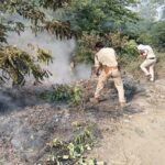Singrauli News : जयंत नेहरू अस्पताल के सामने रिहायशी इलाके में भड़की आग
