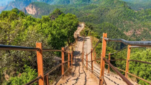 Pachmarhi Hill Station : गर्मियों में शिमला-मनाली नहीं बल्कि MP के इस हिल स्टेशन पर मनाये छुट्टियां