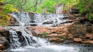 Pachmarhi Hill Station : गर्मियों में शिमला-मनाली नहीं बल्कि MP के इस हिल स्टेशन पर मनाये छुट्टियां