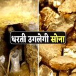 Singrauli News: मध्य प्रदेश की जमीनें उगलेंगी सोना, सिंगरौली में गुरहर पर्वत खदान पर जल्द शुरू होगा काम